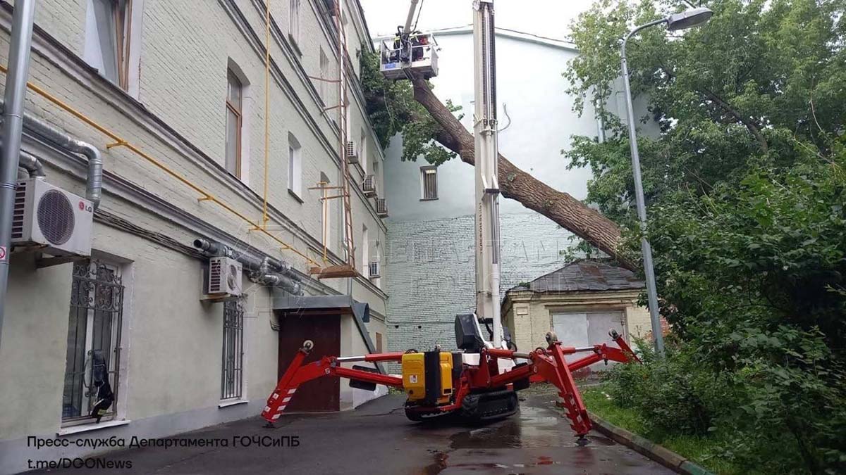 Дерево упало на жилой дом в центре Москвы