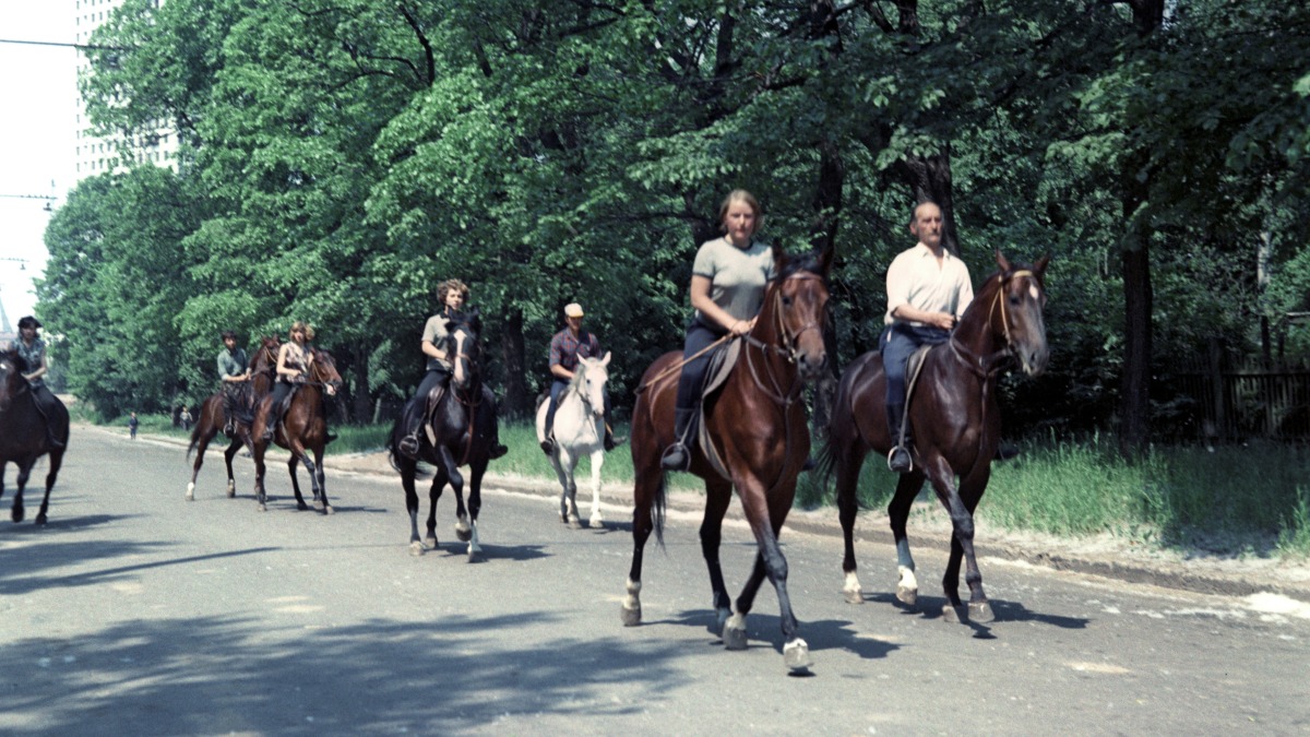 Учащиеся конно-спортивного клуба Добровольного спортивного общества «Урожай» на выездке в парке «Сокольники».
