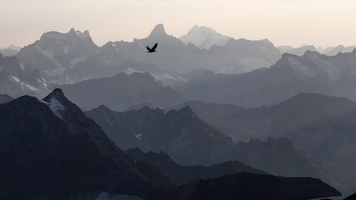 Спасателям потребуется три дня, чтобы добраться к застрявшей на горе Наговициной 