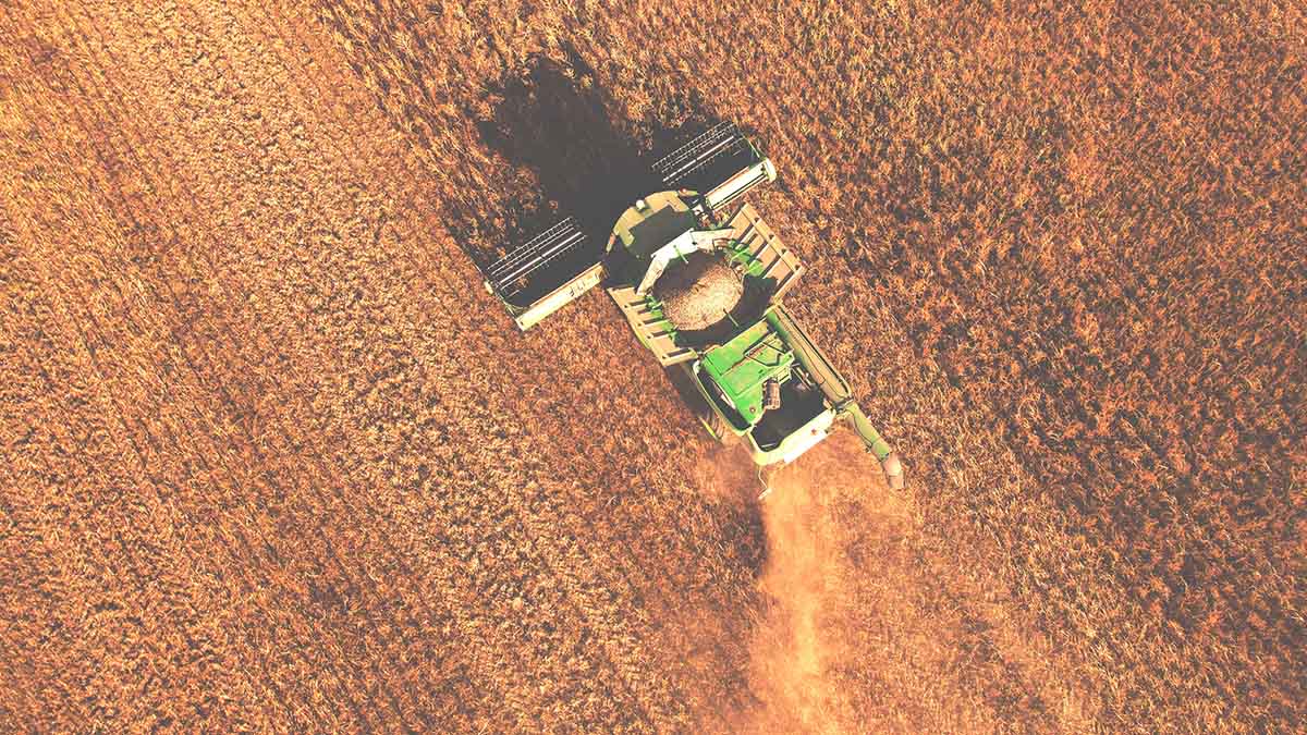 Постпред РФ при ООН заявил, что Москва не исключает непродления зерновой сделки