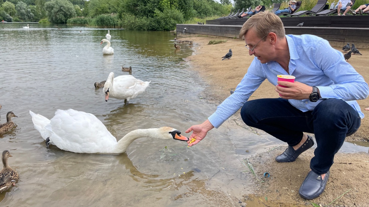 Директор парка культуры и отдыха «Бабушкинский» Игорь Бускин во время обхода территории ландшафтного парка «Митино». Здесь, на Пенягинском пруду, прибрежная зона благоустроена для комфортного отдыха, а в водоем, помимо уток, запустили еще и семь пар лебедей
