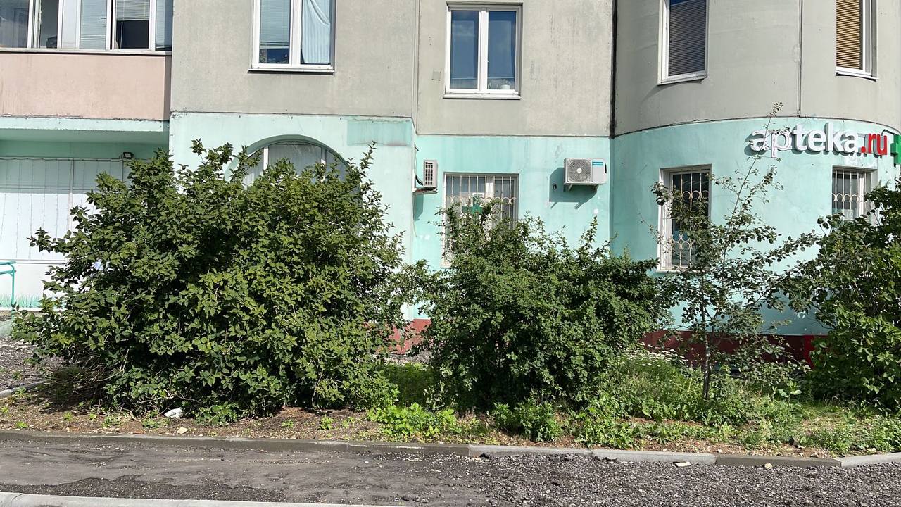 Пятилетняя девочка выпала из окна квартиры на юго-востоке Москвы