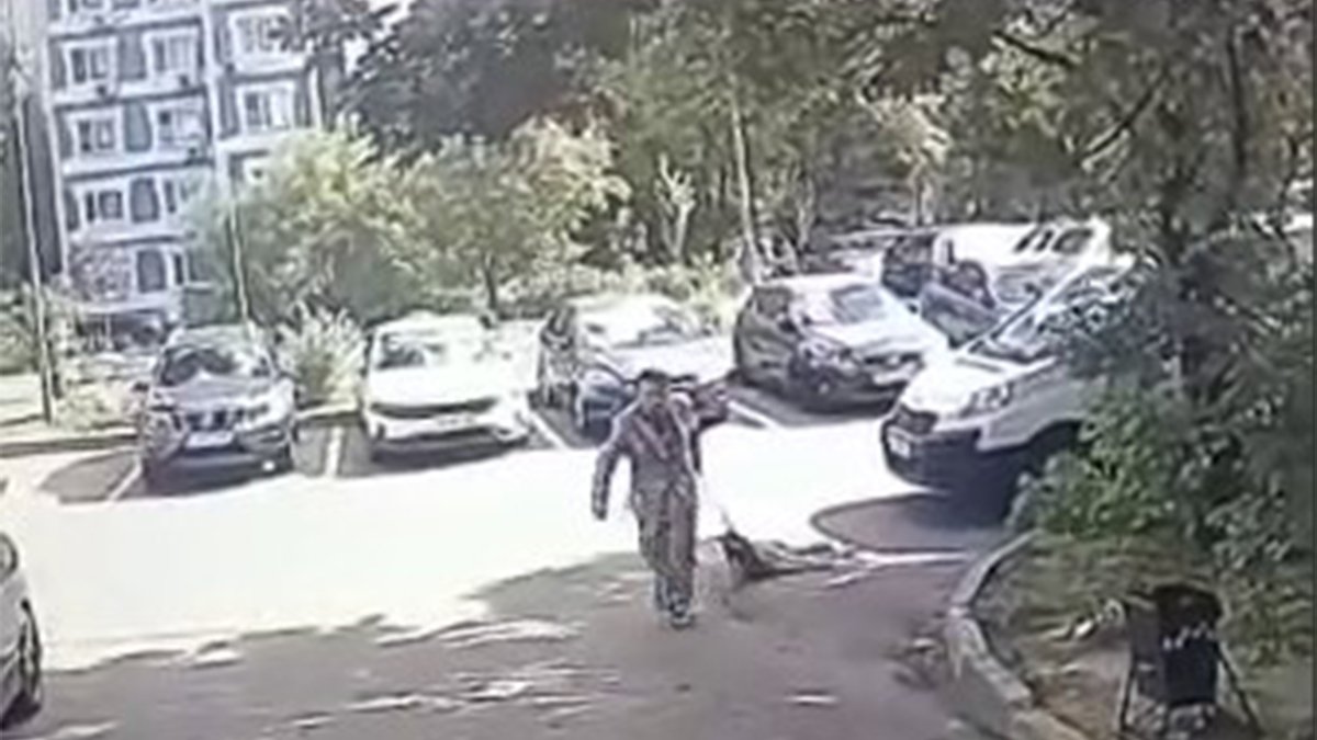 Мужчину уличили в жестоком обращении с собакой на севере Москвы