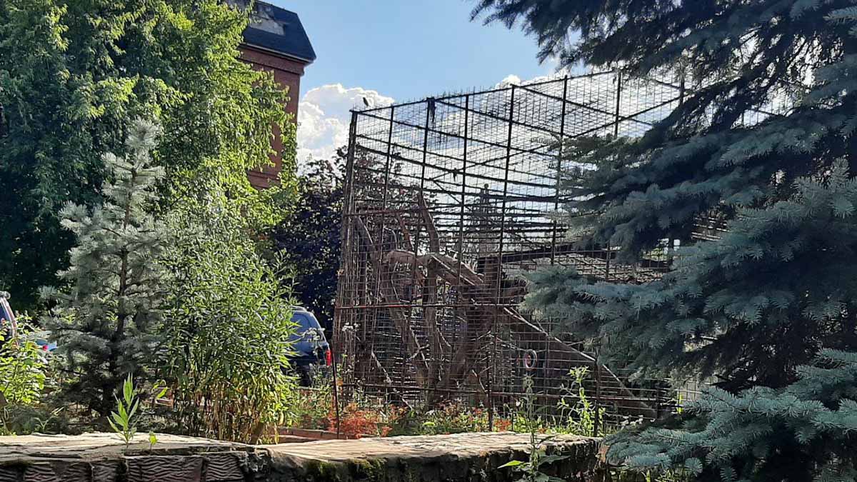 «Целый букет нарушений»: Бурматов раскрыл подробности дела о нападении обезьяны на ребенка в Мытищах