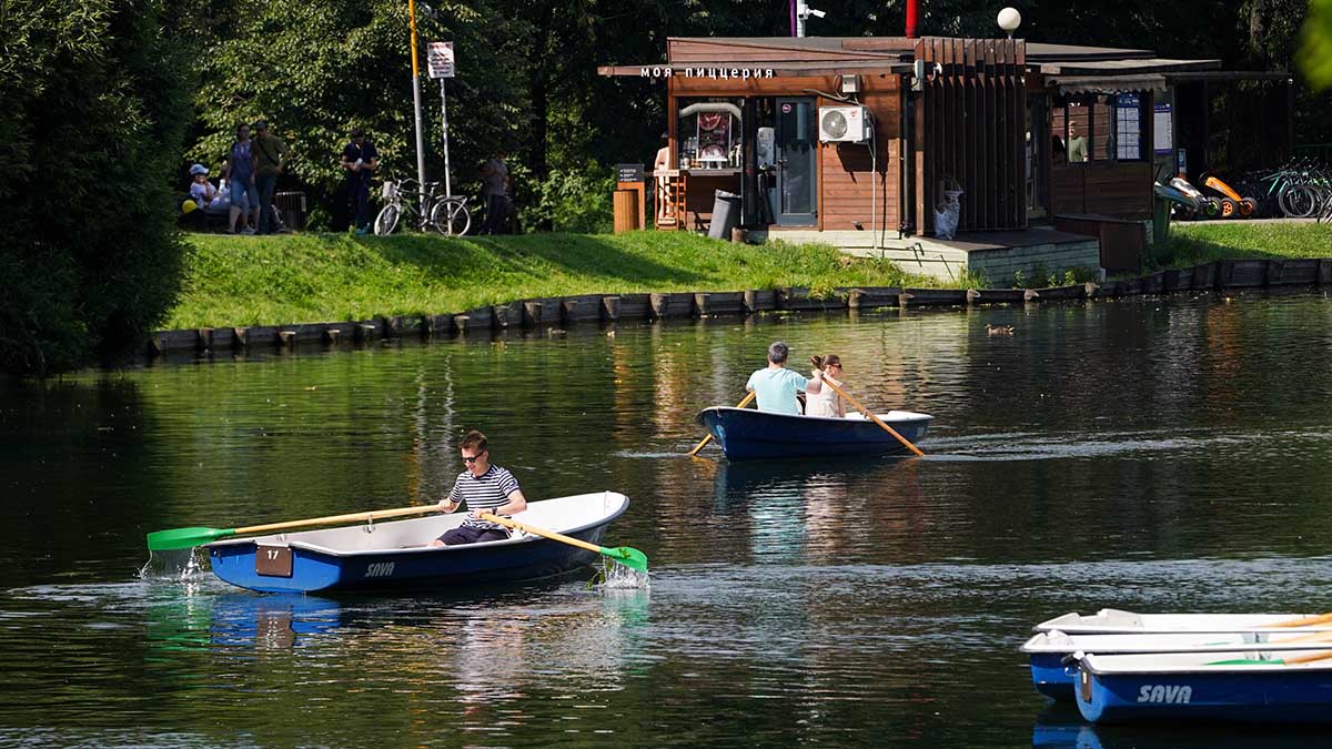 Краснокнижного жука обнаружили в Измайловском лесопарке