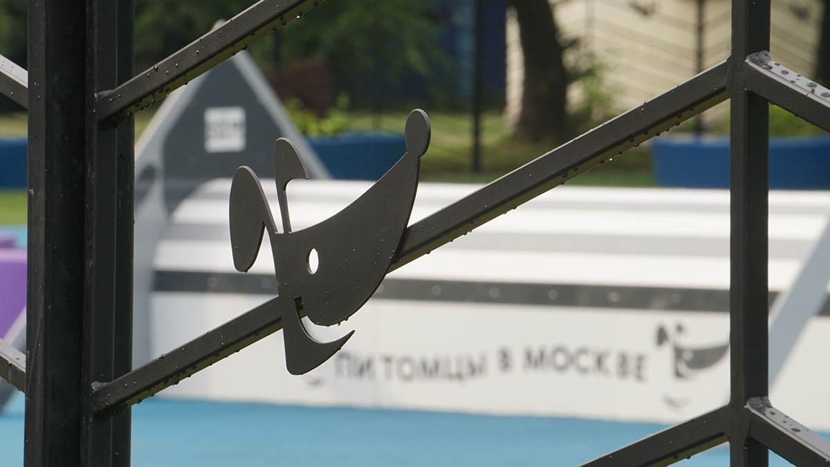 Пьяный москвич сбросил с 9-го этажа петарду на соседских собак в Лосиноостровском районе