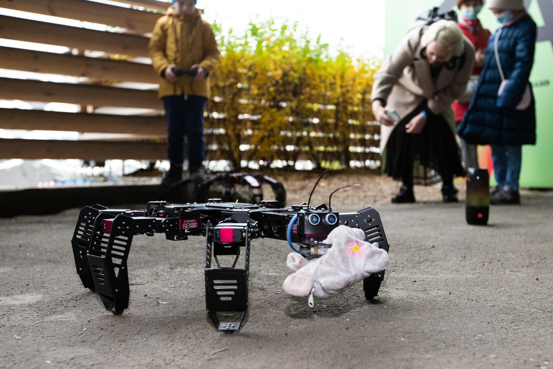 Названы самые необычные экспонаты на фестивале Geek Picnic