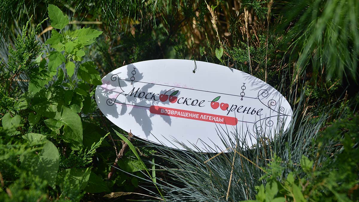 Fashion-маркет пройдет в столице с 5 по 7 августа в рамках фестиваля «Московское варенье»