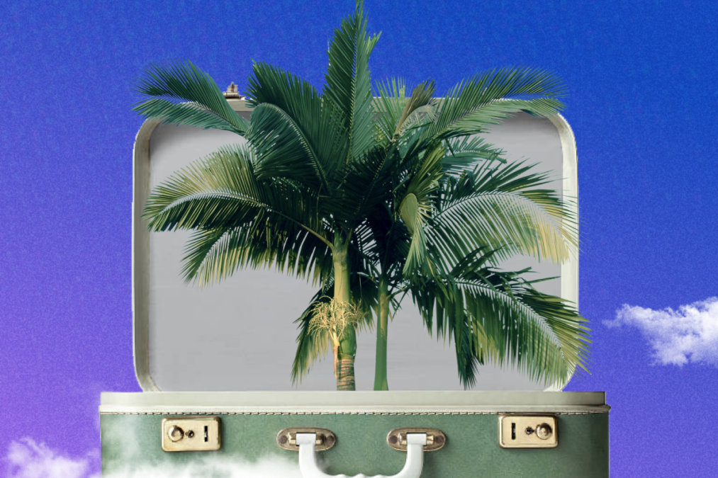 Аналитики «Авиасейлс» составили инструкцию, как сэкономить на авиабилетах за границу