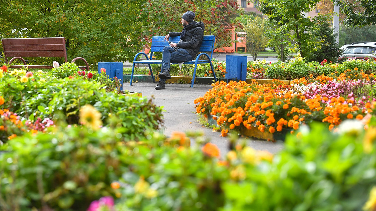 Более 56 миллионов цветов украсят Москву весной и летом