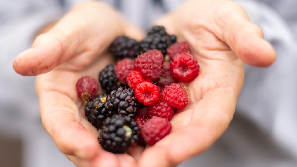 Вкусом ягод насладись и здоровьем зарядись: как сохранить летние дары без потери витаминов