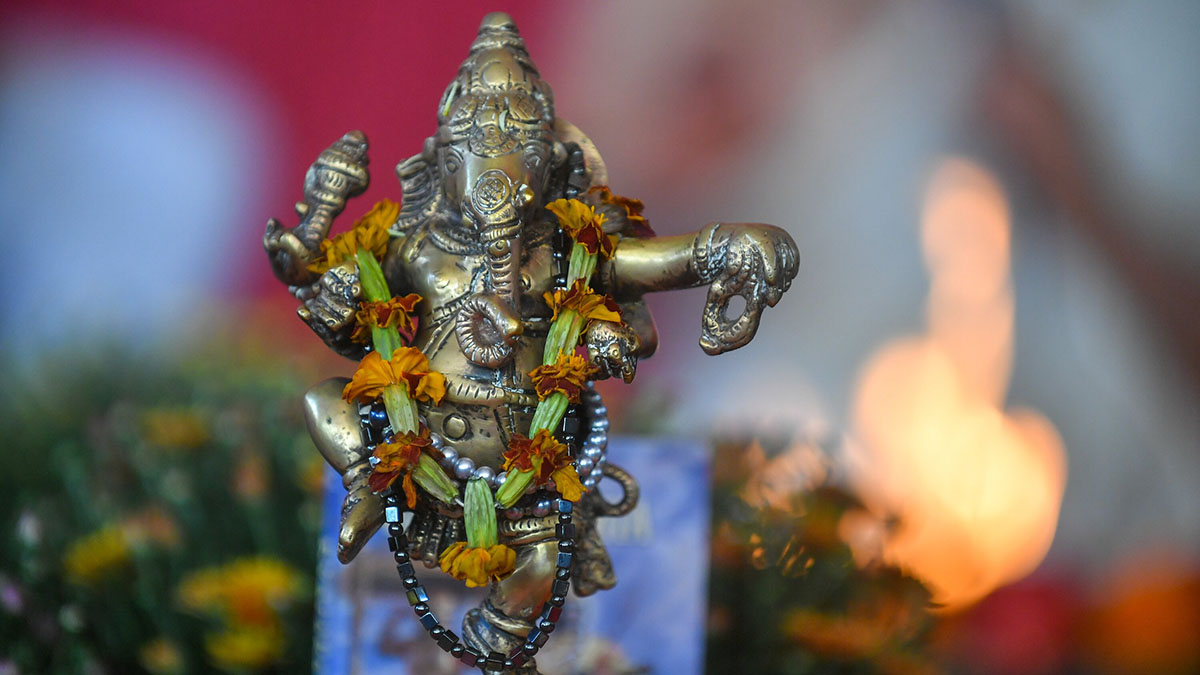 Обезьяны в Индии спровоцировали давку в храме и погубили двух человек