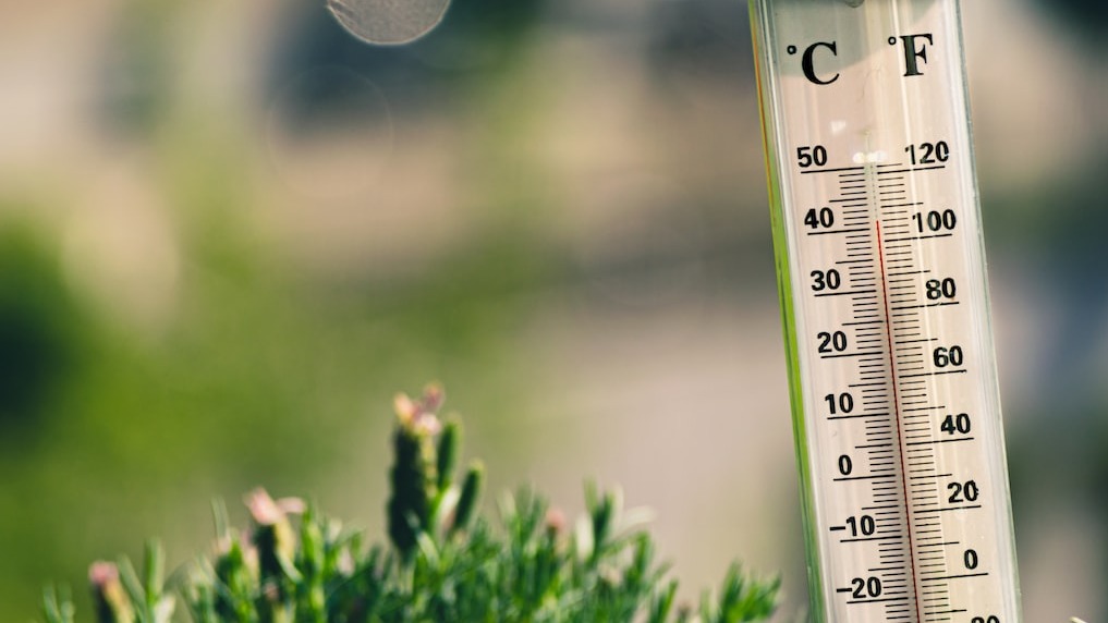 Засуха против Европы: с чем связаны резкие климатические изменения