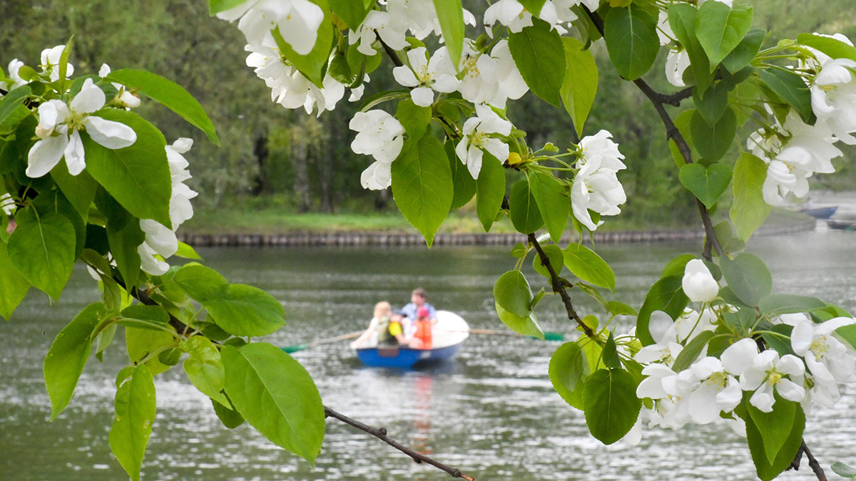 Москвичи выбрали лучшие парки для велопрогулок, детского досуга и пляжного отдыха
