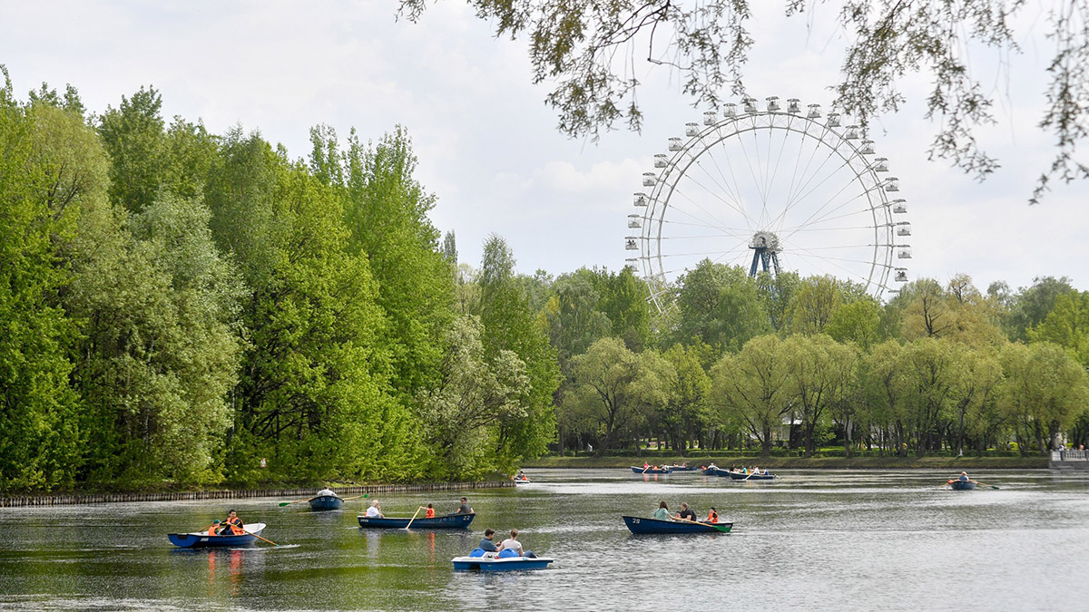 Столица выставила на торги два павильона в Измайловском парке