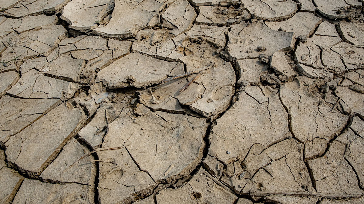 Ученые выявили новую опасность глобального потепления для здоровья людей