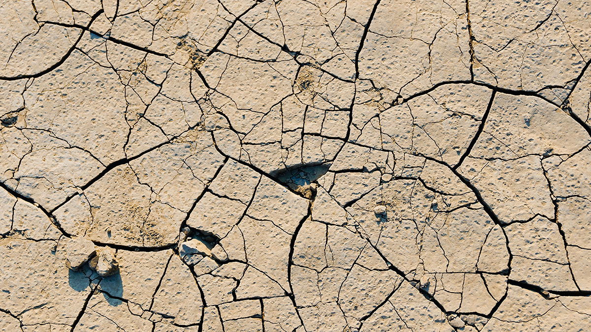 Bloomberg: 2024-й может стать самым жарким годом в истории наблюдений