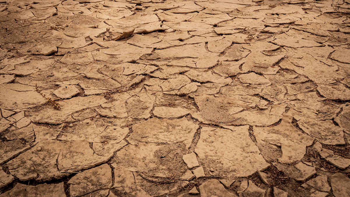 Вильфанд оценил угрозу теплового взрыва из Сахары для России