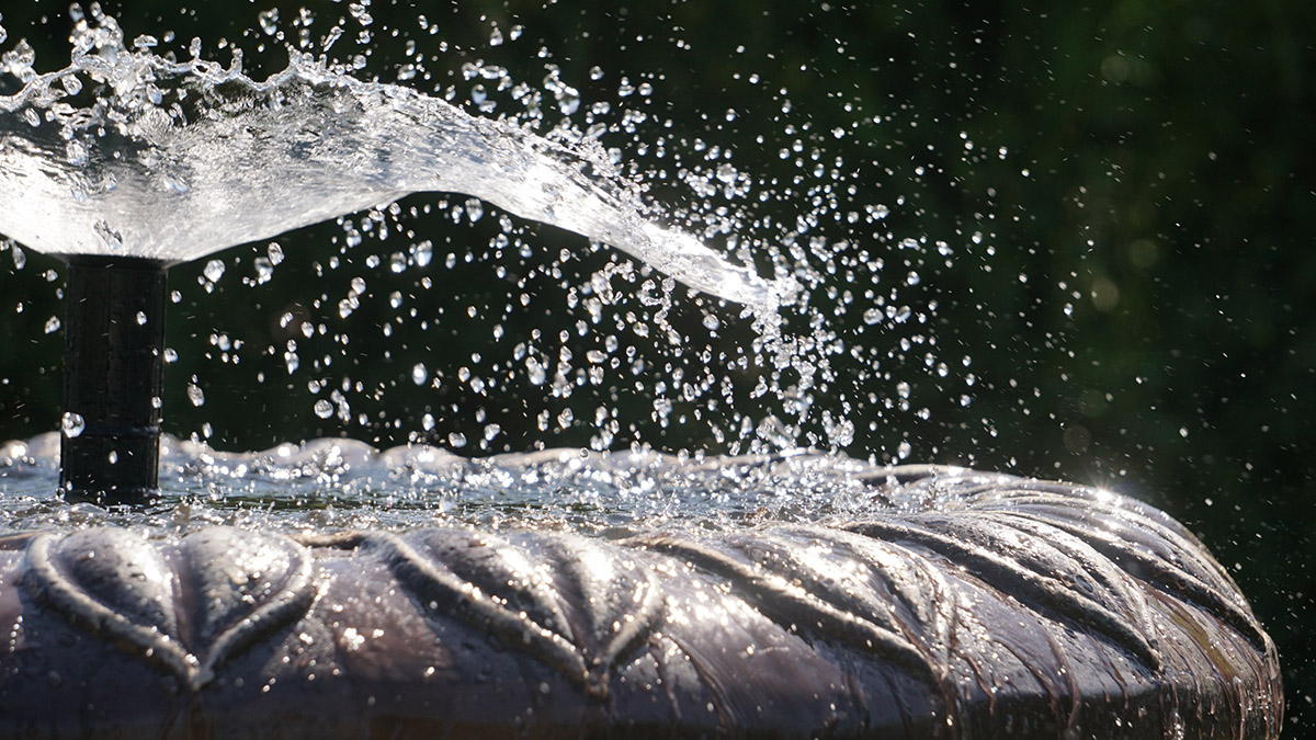 Собянин: В Москве начался сезон фонтанов