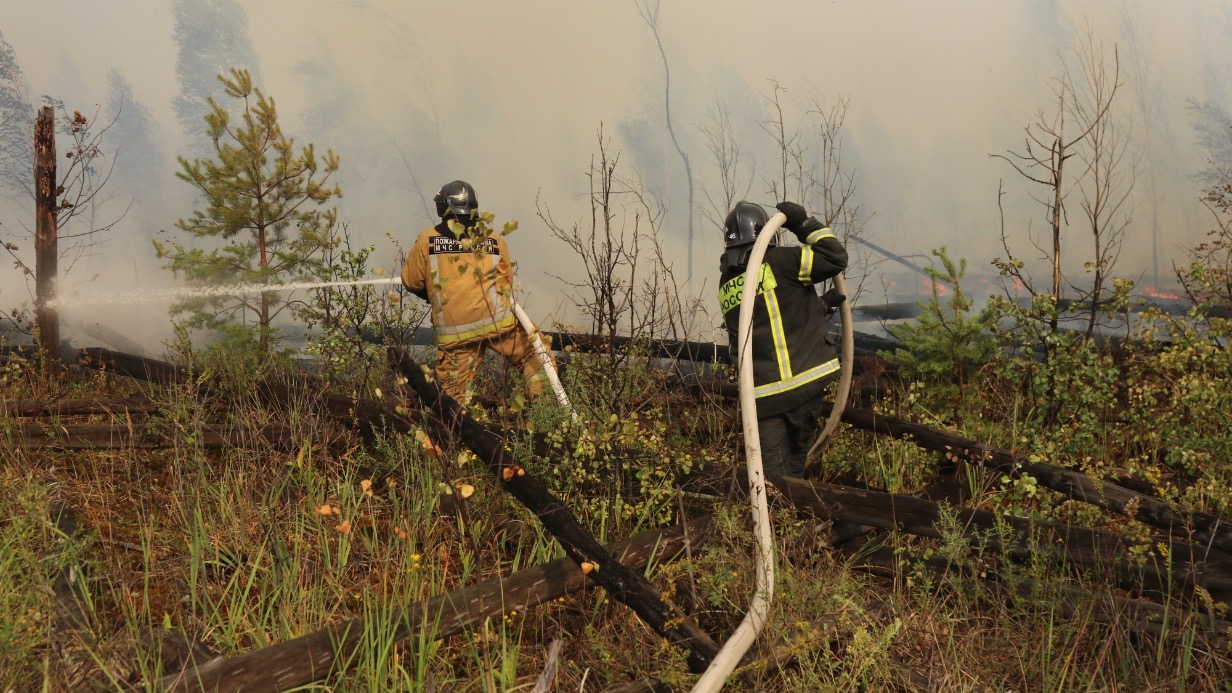 Глава МЧС заявил, что пожары в Рязанской области могли начаться из-за поджогов