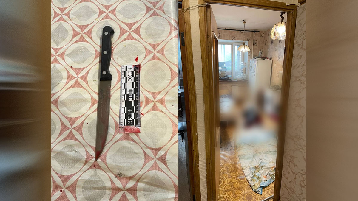 Девушка зарезала собутыльника в ходе пьяной ссоры на юге столицы