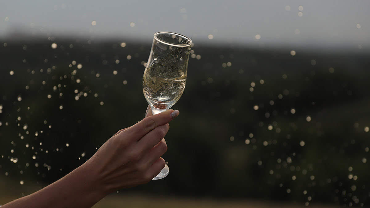 «Маленькие хитрости»: биолог назвала способы для предотвращения похмелья