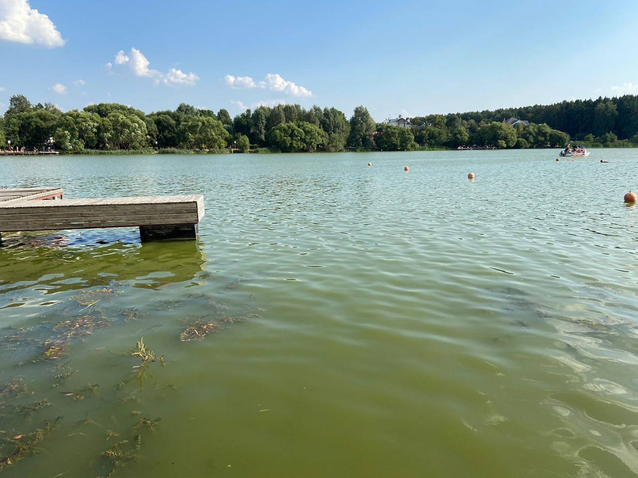 Спасенная из Мещерского пруда 15-летняя девочка умерла в больнице