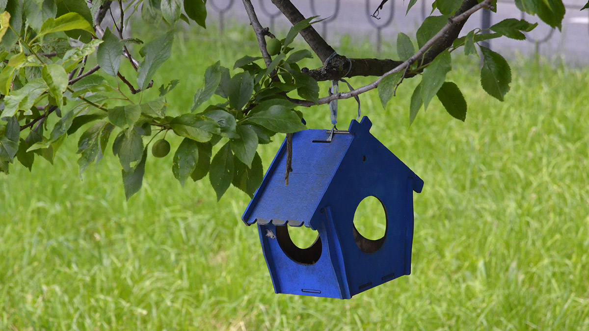 Более 100 скворечников повесили москвичи в парке Северного речного вокзала