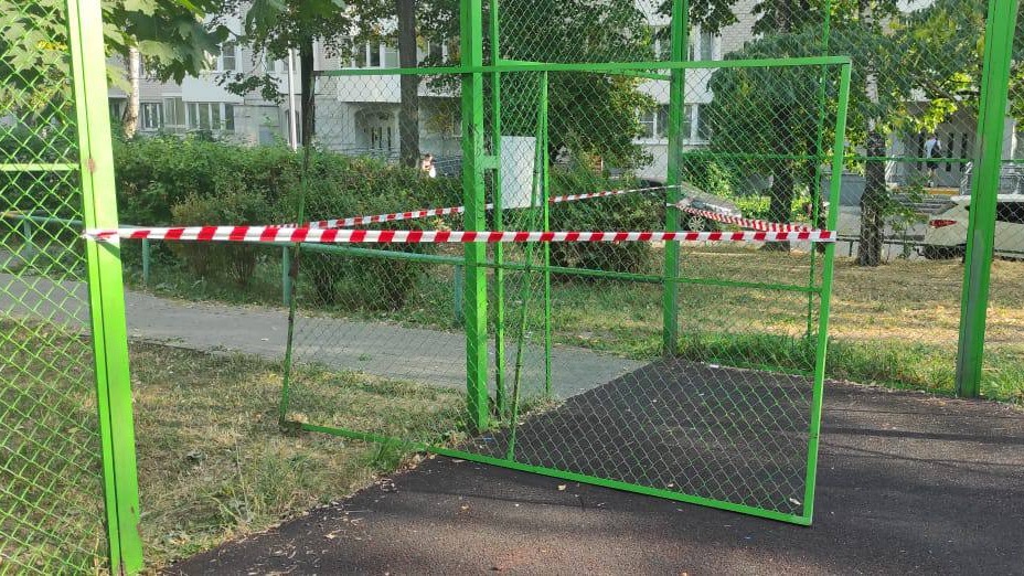 Металлическая сетка упала на ребенка в Москве