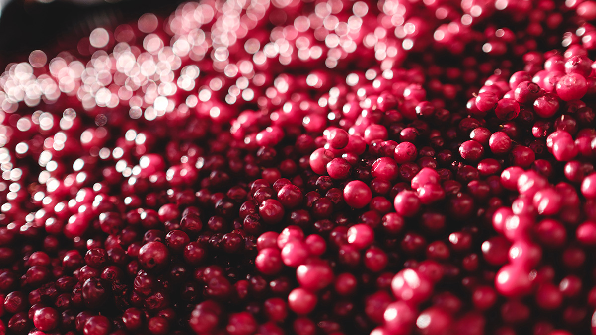 Диетолог Соломатина рассказала об опасности сезонных ягод