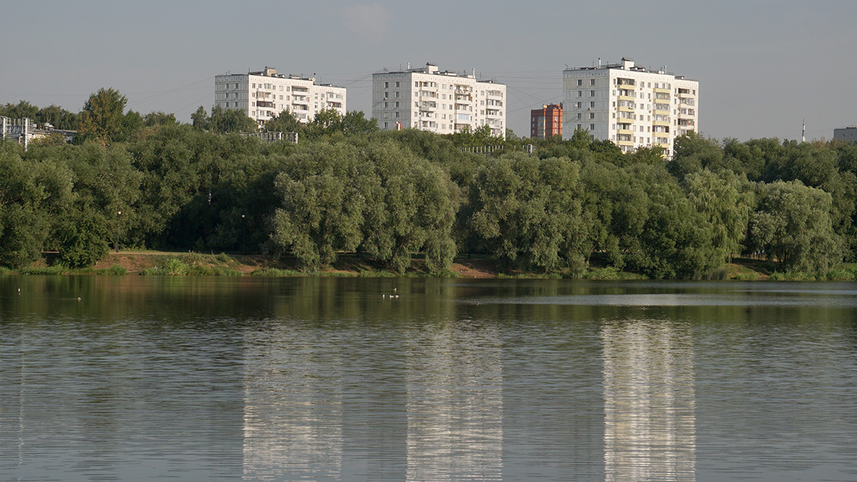 Жители ЮАО собрали более тысячи подписей за пляж и лодочную станцию у Царицынских и Борисовских прудов