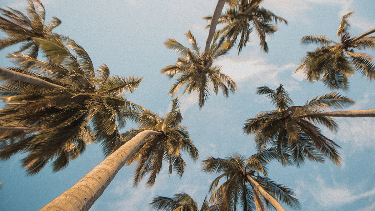 Эксперт Ансталь оценила планы властей Бали ужесточить визовый режим 