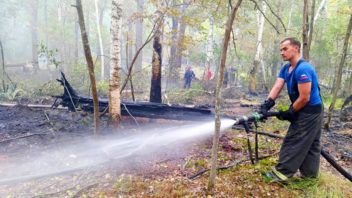 Крупнейший за последние годы лесной пожар в Геленджике полностью ликвидировали