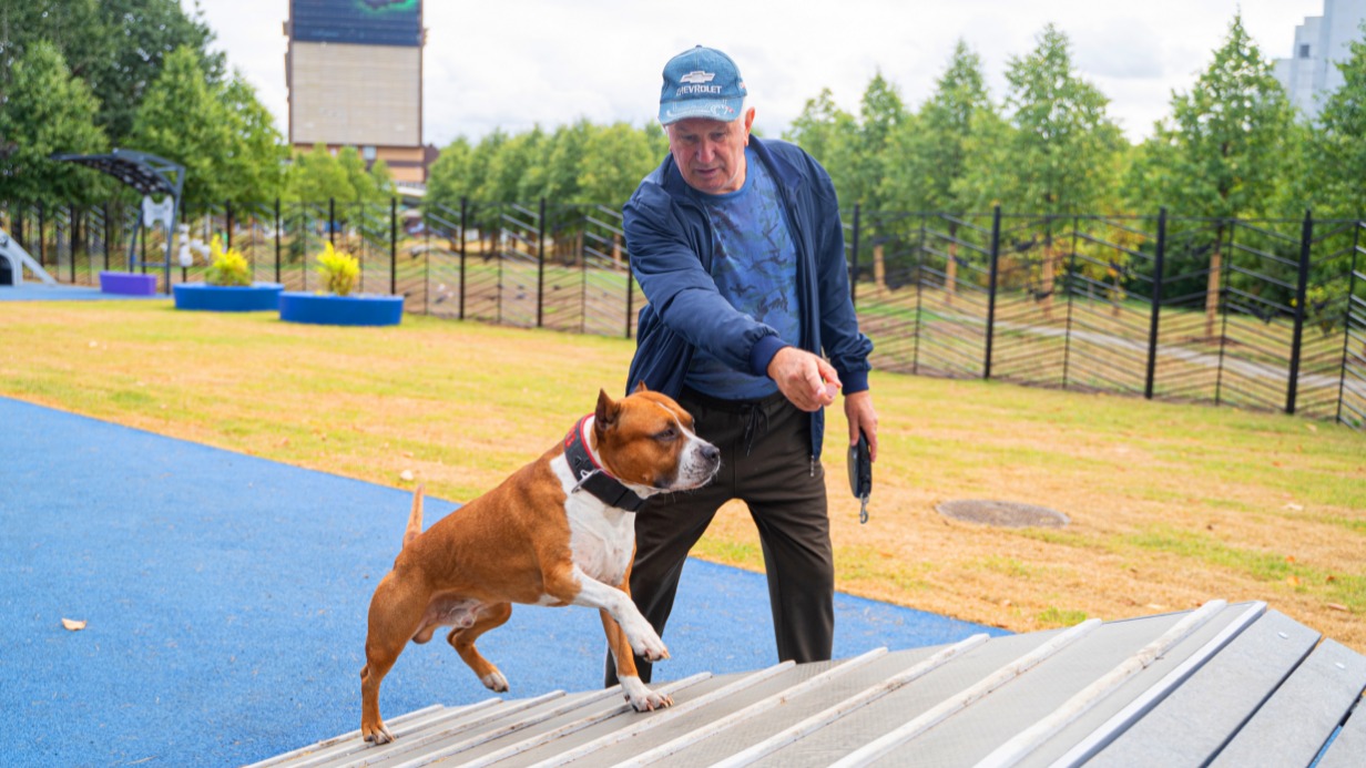 Москвич Анатолий Цыплаков со своим питомцем Чейзом на новой площадке для выгула собак
