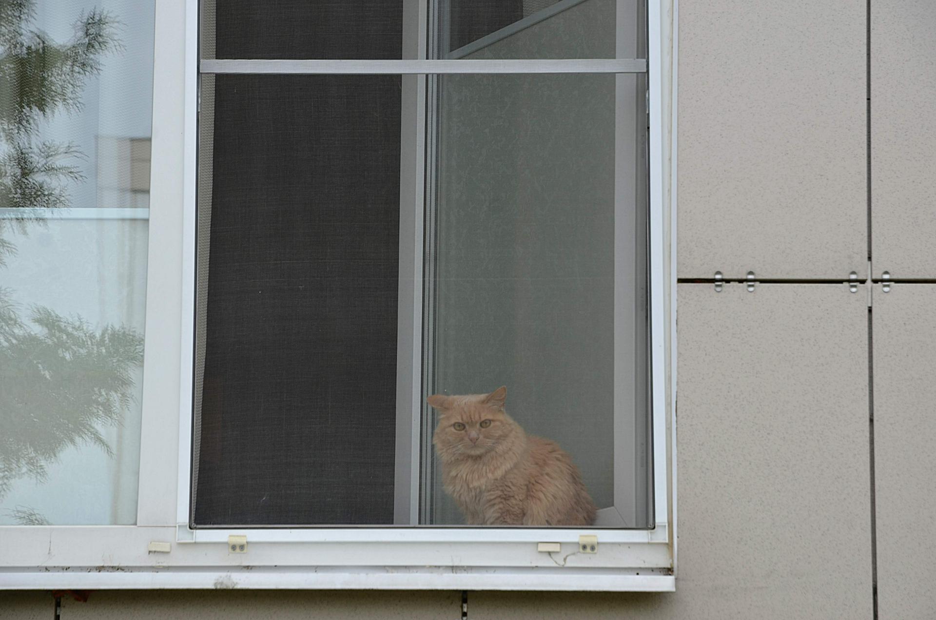 Эксперты дали советы, как выбрать москитную сетку