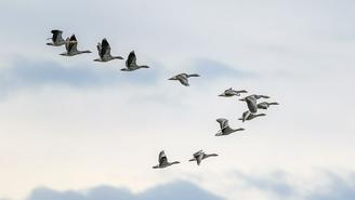 Куда сходить в Москве на выходных, 4 и 5 апреля 2026 года