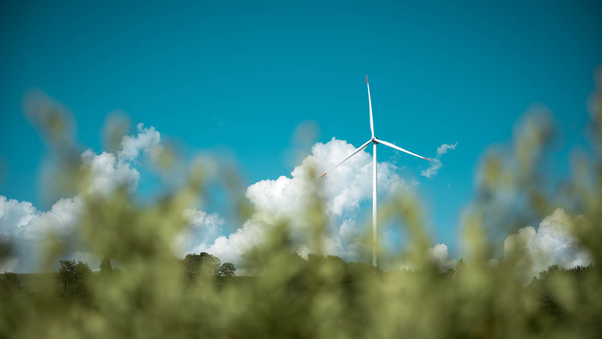 Объем переработки одежды в Москве будет увеличен благодаря новому экопроекту