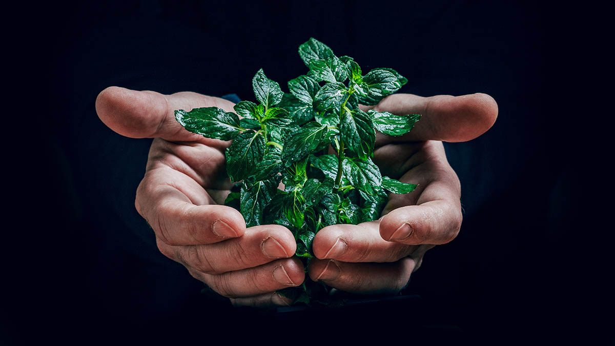 Основатель проекта «Экогиды» Пиви рассказала о важности экологической культуры