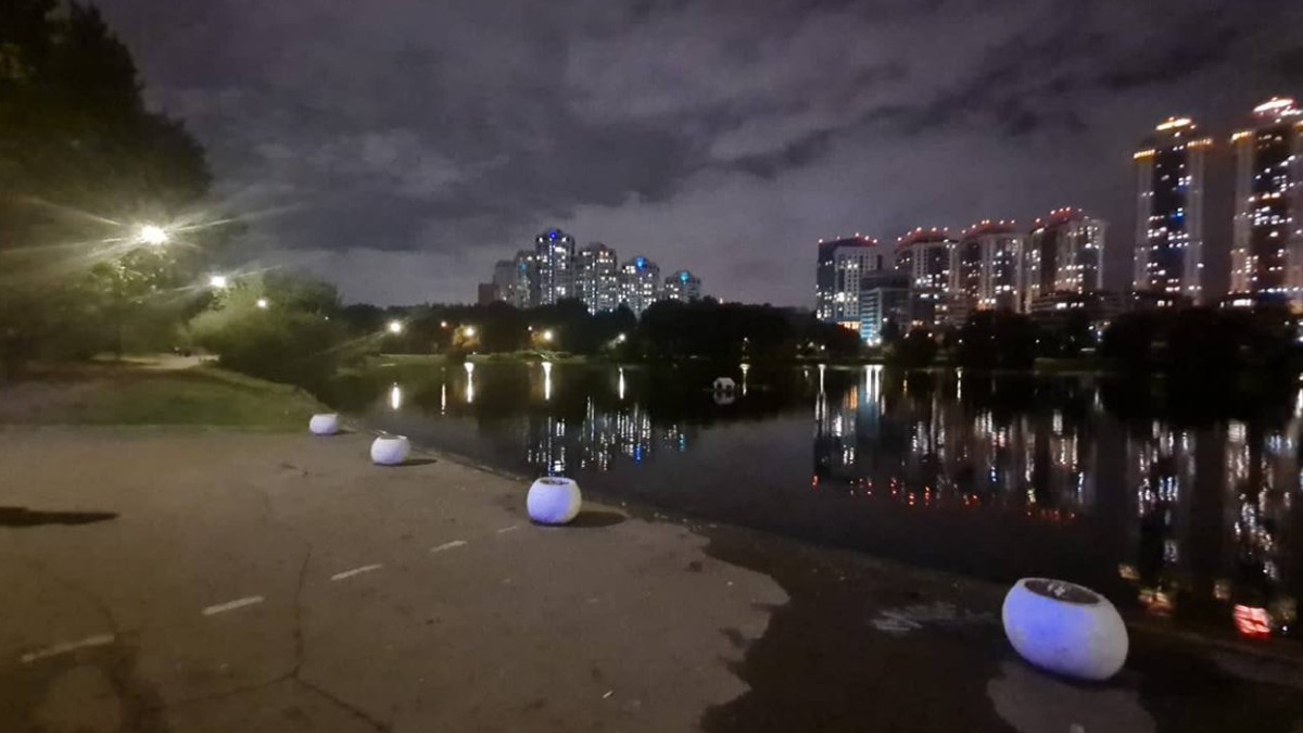 Пропавшего в Москве во время прогулки малыша нашли в пруду