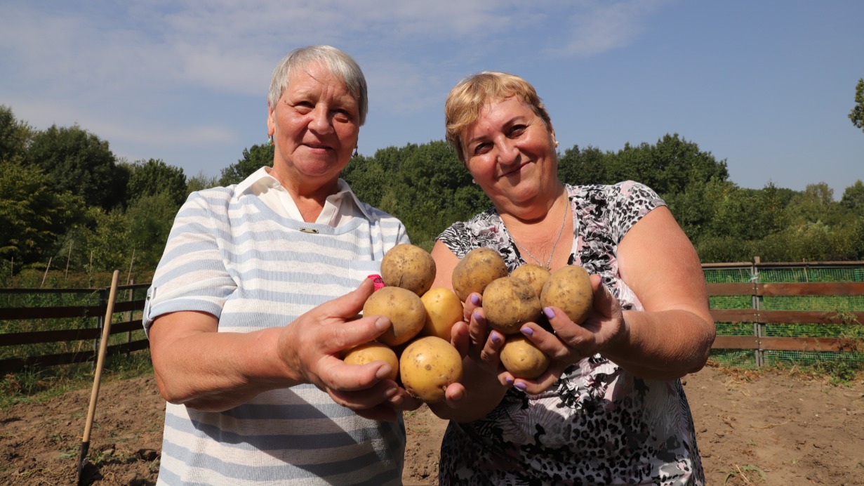 Москвички Валентина Кузичкина (слева) и Елена Баймашкина вырастили картошку сорта «коломбо»