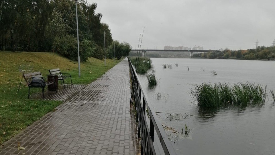 Тело новорожденной девочки нашли в Москве-реке на юге столицы