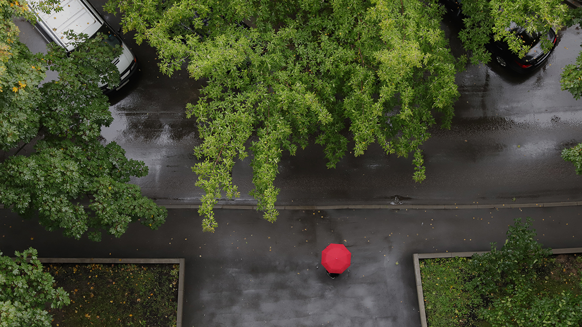 Москвичей предупредили о ненастной погоде и магнитных бурях в выходные