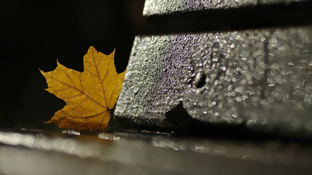 «По-моему, зябко»: синоптик Леус предрек столице прохладу и туманы 4 сентября