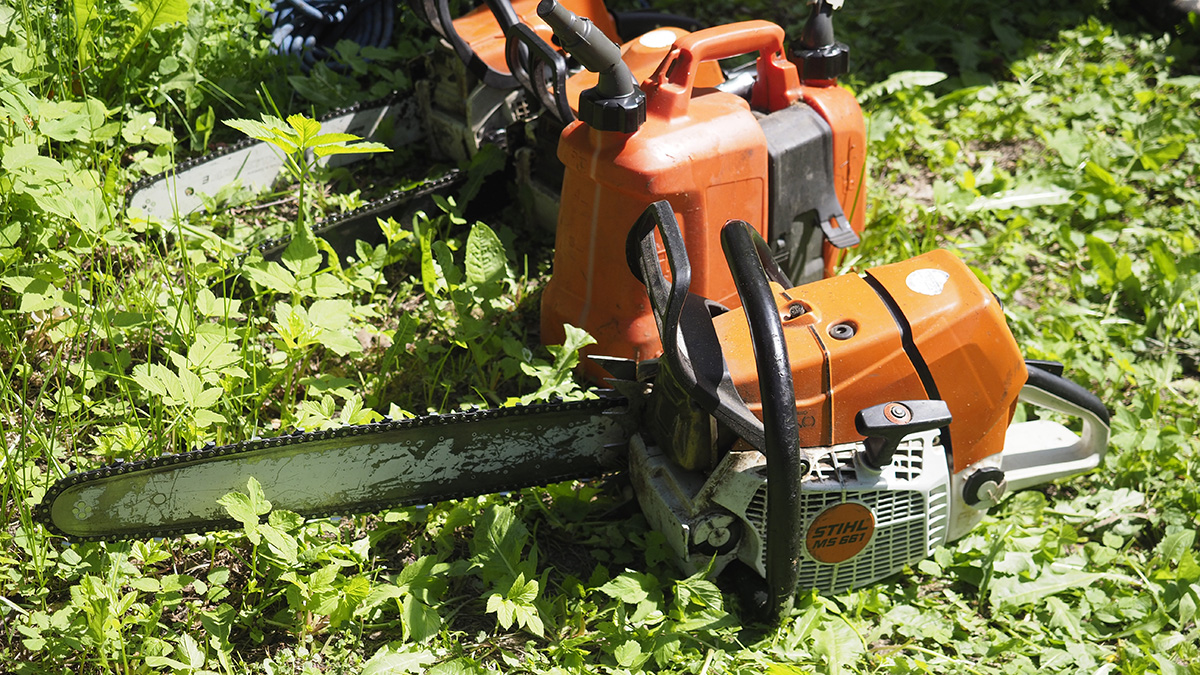 Четыре человека с бензопилами напали на магазин в Ленинградской области