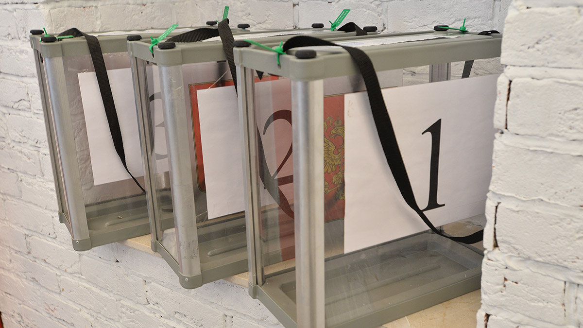 Политолог Алена Август: Целью ДЭГ является создание комфортных условий на выборах для всех избирателей