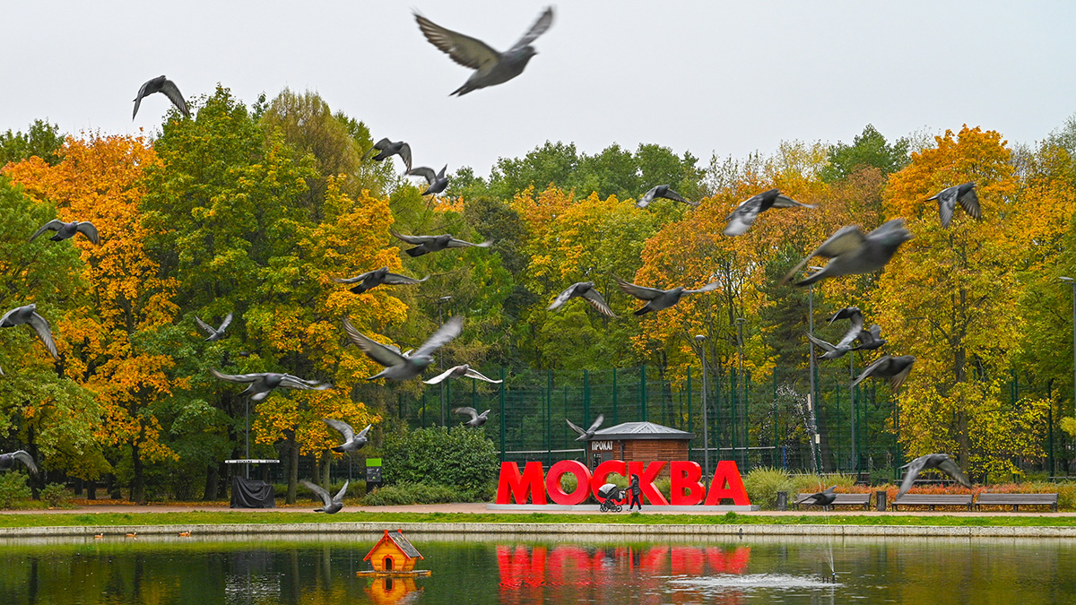 Прием заявок на соискание экологических премий в столице продлили до 14 ноября