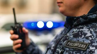 Как защитить квартиру и установить охрану для предотвращения ЧП в Новый год: ответ Росгвардии