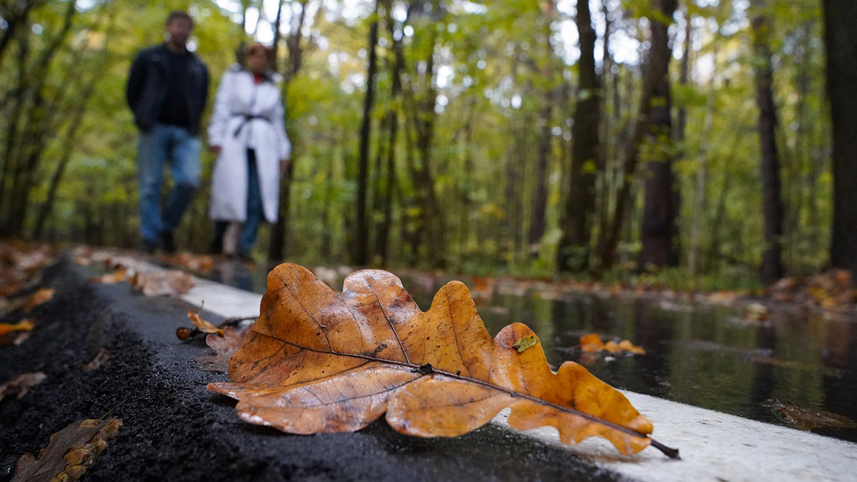 Синоптик Тишковец назвал 5 октября самым холодным днем месяца