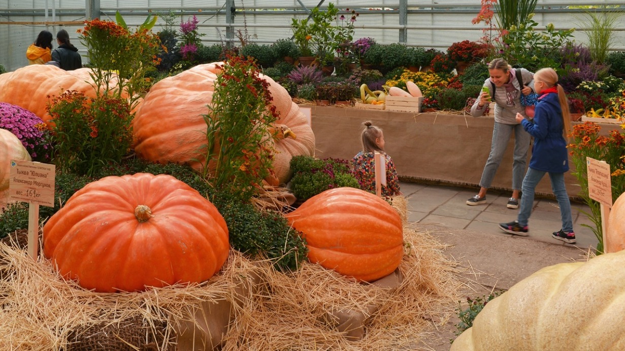 «Аптекарский огород» продлил выставку тыкв и осенних цветов