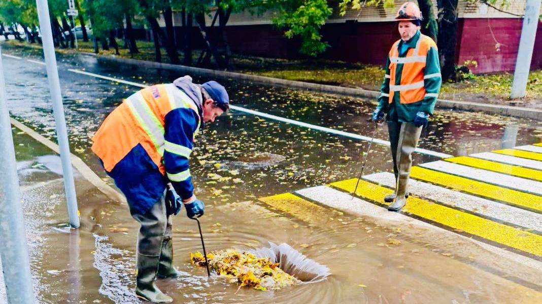 Опавшая листва привела к временным скоплениям воды на ряде улиц Москвы